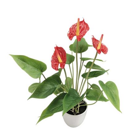 Real Touch Τεχνητό φυτό Ανθούριο με Κόκκινα άνθη σε γλαστράκι 43cm