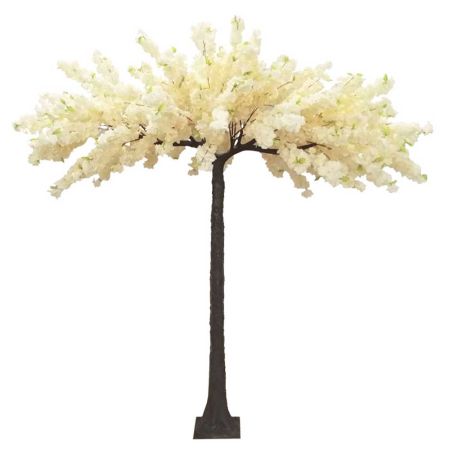 Τεχνητό δέντρο κερασιά με Εκρού άνθη σε βάση 260cm
