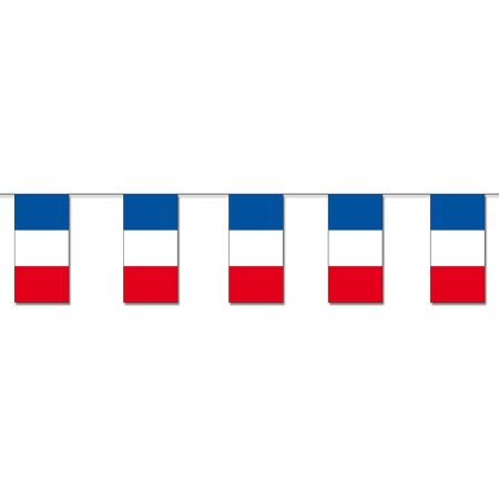 Decorative garland with paper flags-France-4m 