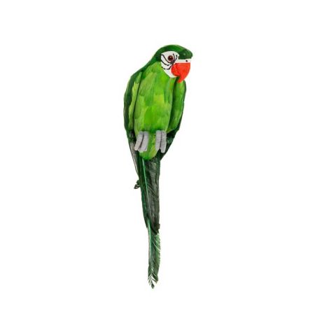 Διακοσμητικός τεχνητός Παπαγάλος με φυσικά φτερά Πράσινος 46cm