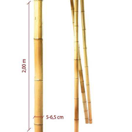 Μπαμπού ιστός - καλάμι Φυσικός 5-6,5cm x 3m