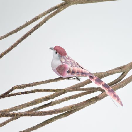 Διακοσμητικό πουλάκι με μακριά ουρά Ροζ 18cm