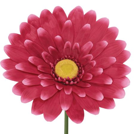 XL Διακοσμητικό συνθετικό λουλούδι Ζέρμπερα Φούξια 150cm