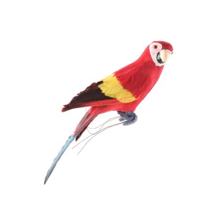 Διακοσμητικός Παπαγάλος Κόκκινος 34cm