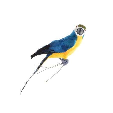 Διακοσμητικός τεχνητός Παπαγάλος με φυσικά φτερά Μπλε 34cm