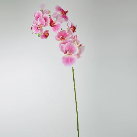Διακοσμητική Ορχιδέα Ροζ (Natural Touch) 97cm