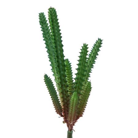 Mini Τεχνητή δέσμη με φυτό Σταπέλια 20cm