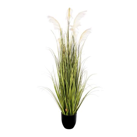Διακοσμητικό τεχνητό φυτό Pampas Grass σε μαύρη γλάστρα 120cm