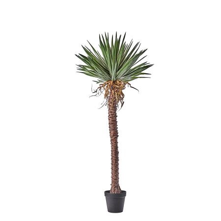 Τεχνητό φυτό Yucca σε γλάστρα 180cm