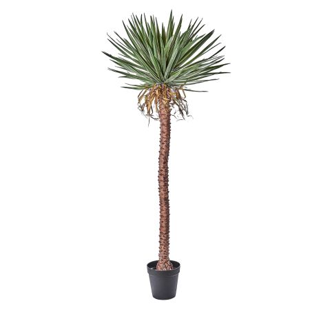 Τεχνητό φυτό Yucca σε γλάστρα 225cm