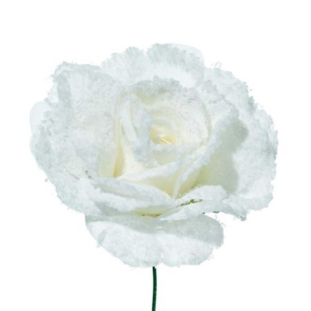 Χριστουγεννιάτικο τριαντάφυλλο χιονισμένο Λευκό 17cm
