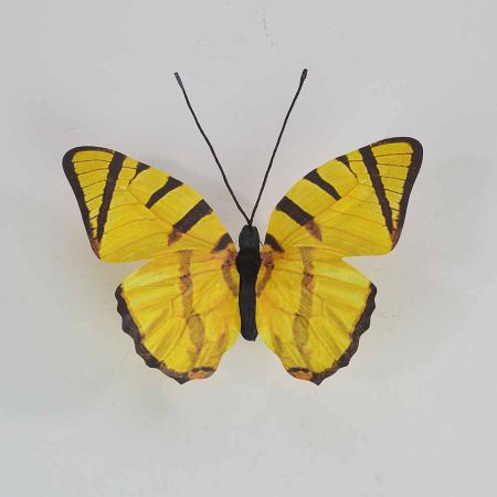Διακοσμητική πεταλούδα Κίτρινη 30x27x3cm
