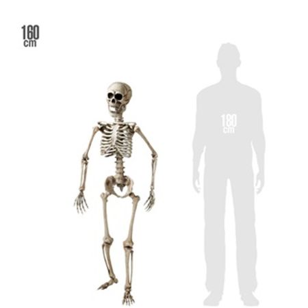Διακοσμητικός σκελετός με αρθρώσεις για πόζες Φυσικό 160cm