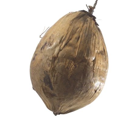 Διακοσμητικό κέλυφος καρύδας από φυσικό υλικό 20cm