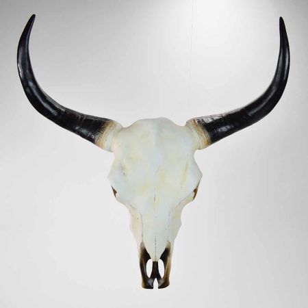 Διακοσμητικό κρανίο ταύρου με κέρατα 70cm