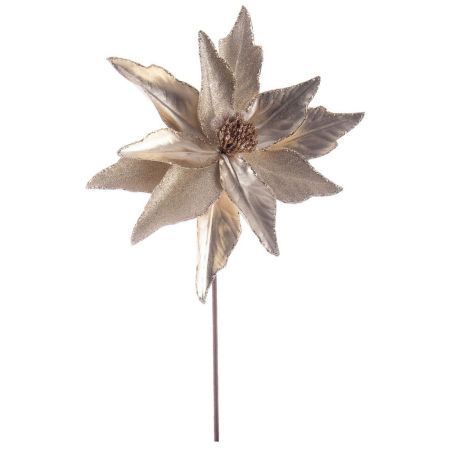 Χριστουγεννιάτικο Αλεξανδρινό λουλούδι Σαμπανί 29x50cm