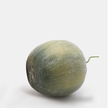 HQ Decorative Melon (Natural Touch) - replica Green 27x13cm 