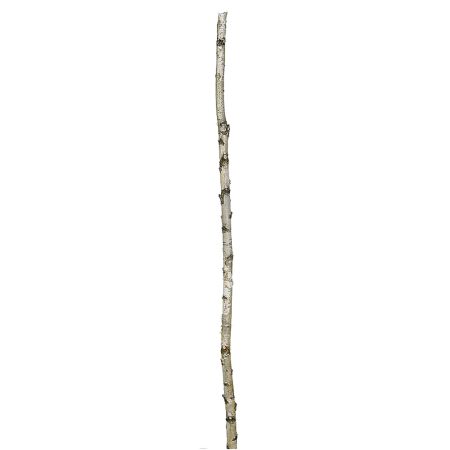 Φυσικός κορμός από δέντρο Σημύδα 3-5x200cm