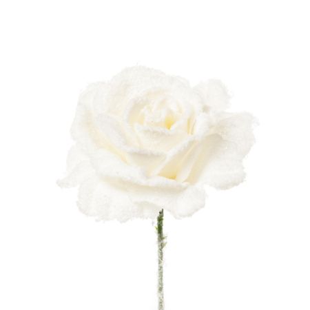 Tριαντάφυλλο χιονισμένο Λευκό, 21cm
