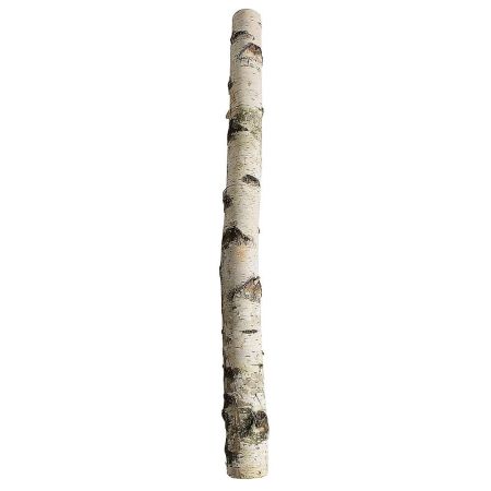 Φυσικός κορμός δέντρου Σημύδας 6-10x100cm