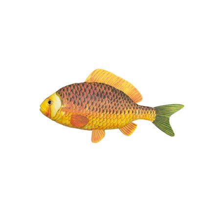 Διακοσμητικό ψάρι βιτρίνας Κίτρινο 30cm