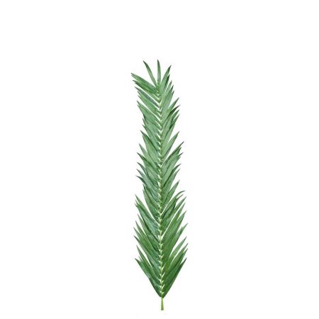 Διακοσμητικό φύλλο φοίνικα Πράσινο 180cm