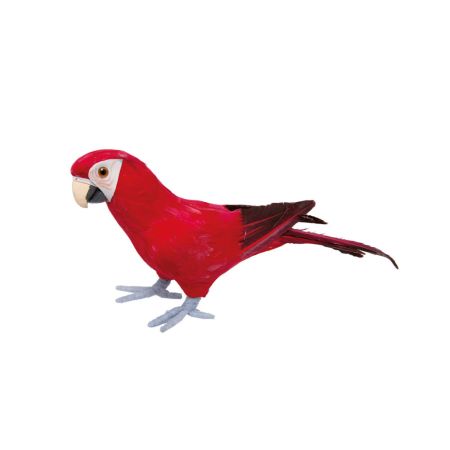 Διακοσμητικός όρθιος παπαγάλος με φυσικά φτερά Κόκκινος 36x13cm