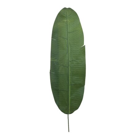 Διακοσμητικό φύλλο μπανανιάς Πράσινο 120cm
