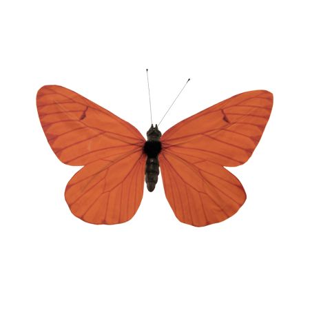 Διακοσμητική  χάρτινη πεταλούδα με σύρμα Πορτοκαλί 15x20cm 