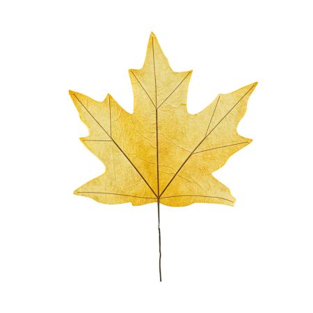 XL Decorative paper maple leaf Yellow 49x43,5x65cm