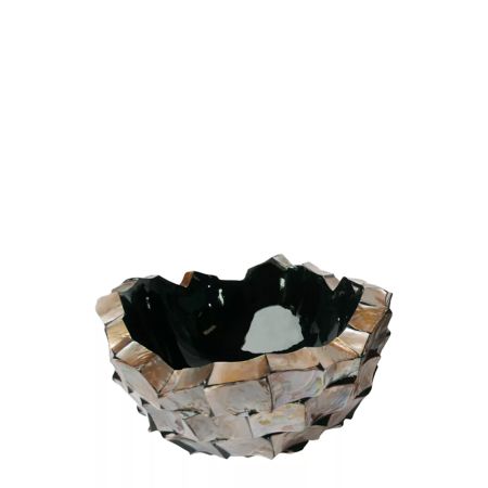 Decorative bowl with natural shells Brown 40x24cm