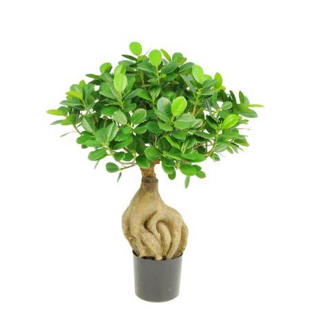 Διακοσμητικό τεχνητό φυτό Bonsai σε γλάστρα 45cm