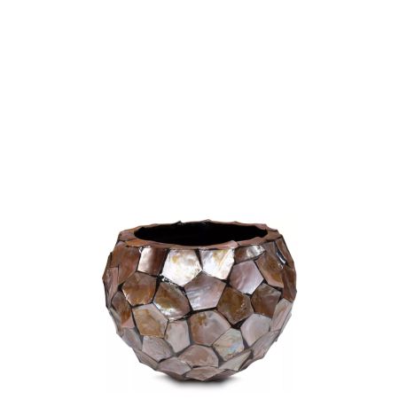 Decorative pot with natural shells Brown 36x25cm