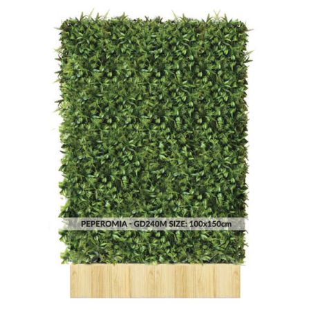 Τοίχος - Διαχωριστικό Κάθετος Κήπος Peperomia με Πρασινάδα