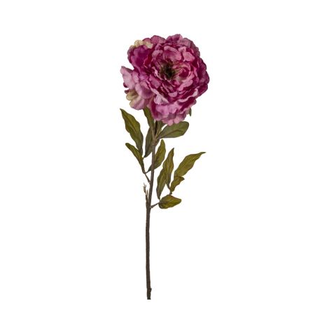 Τριαντάφυλλο "Benjamin",ροζ χρ.,84cm