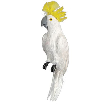 Διακοσμητικός τεχνητός Παπαγάλος Cacatoo με φυσικά φτερά Λευκό 50cm 