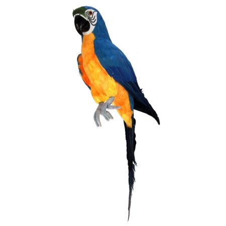Διακοσμητικός παπαγάλος Μπλε 67cm