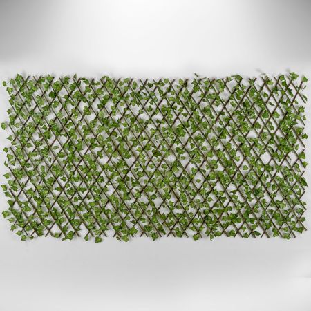 Πέργκολα με φυλλωσιά από κισσό Πράσινο 100x200cm