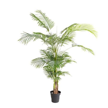 Διακοσμητικό τεχνητό φυτό Φοίνικας Areca σε γλάστρα 180cm