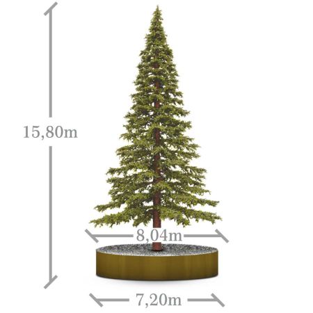 XL Χριστουγεννιάτικο δέντρο Pine Tree Extra με στρογγυλή βάση από 5,80m - 15,80m