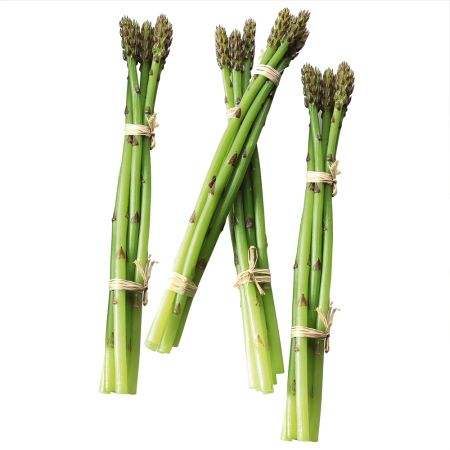Set 4 bundles Decorative Asparagus - replica Green 25cm