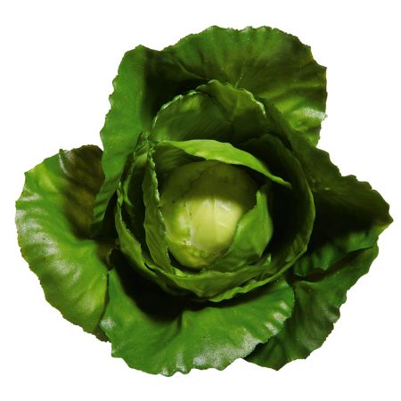 Decorative cabbage replica Green 13cm
